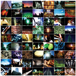 Citizen Of The World