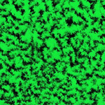 Projection [J.O.Y.名義]