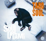 Soul Dreamer